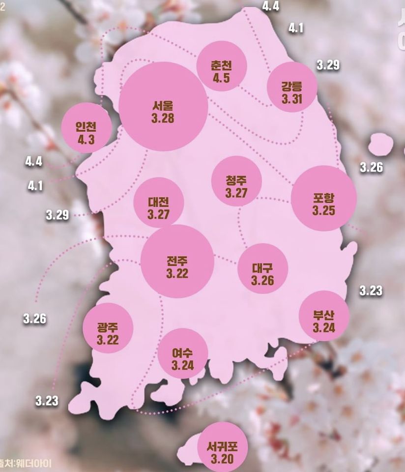 2023韓國櫻花開放地點與時間預估