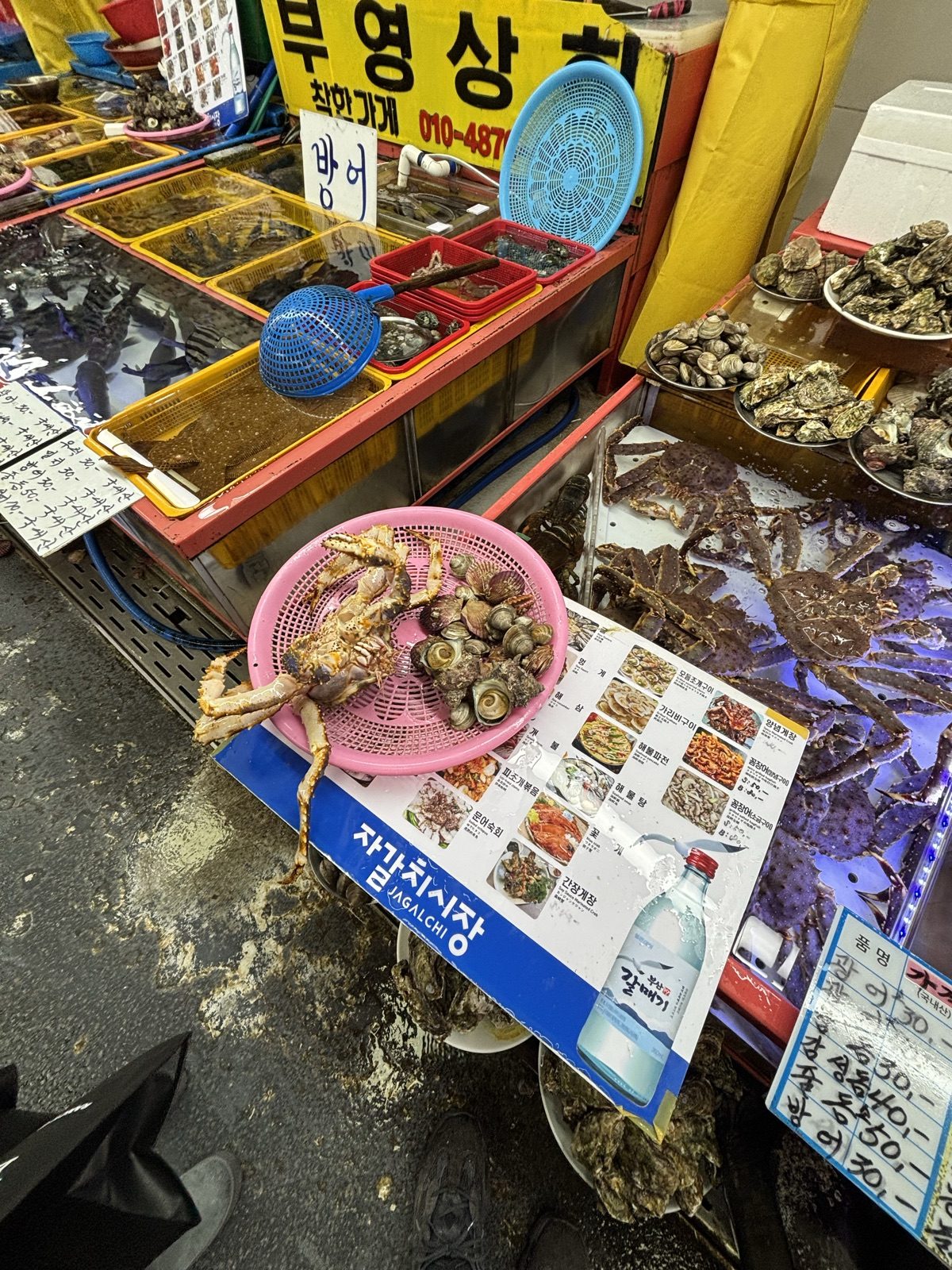札嘎其市場現場挑選帝王蟹