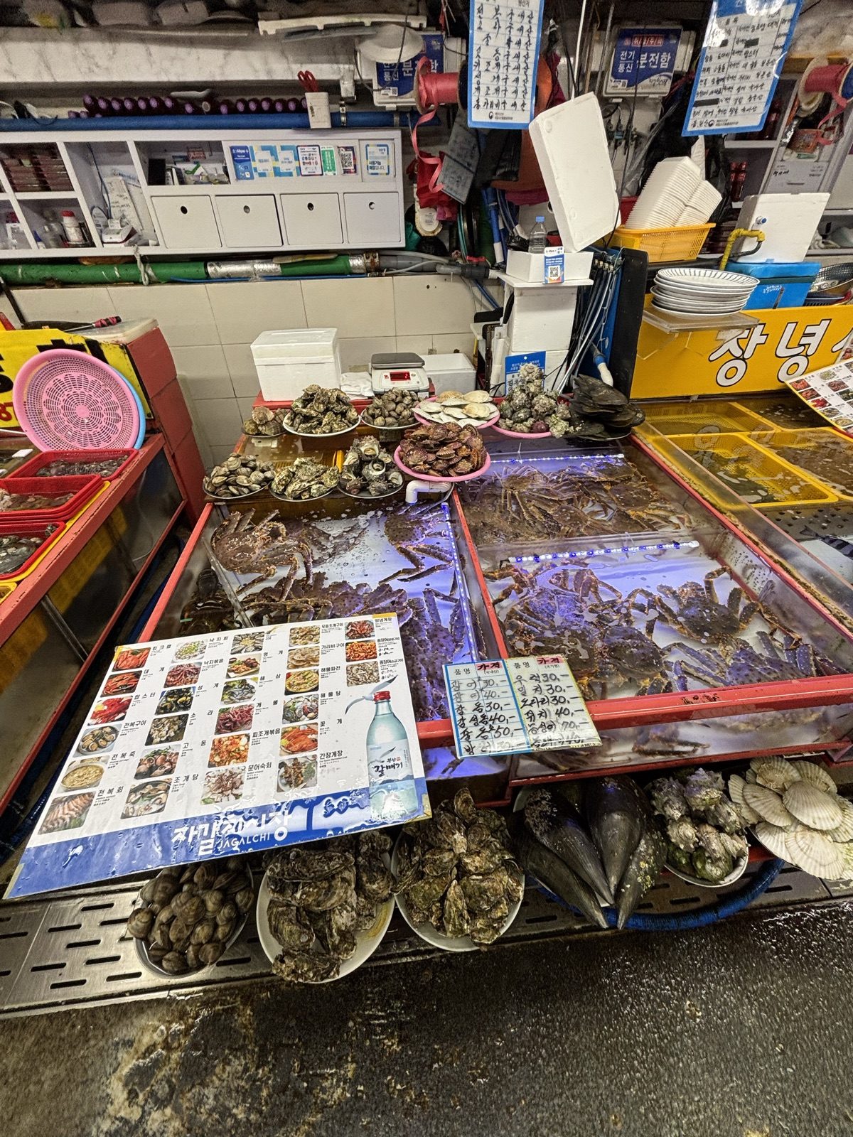 札嘎其市場活海鮮水箱
