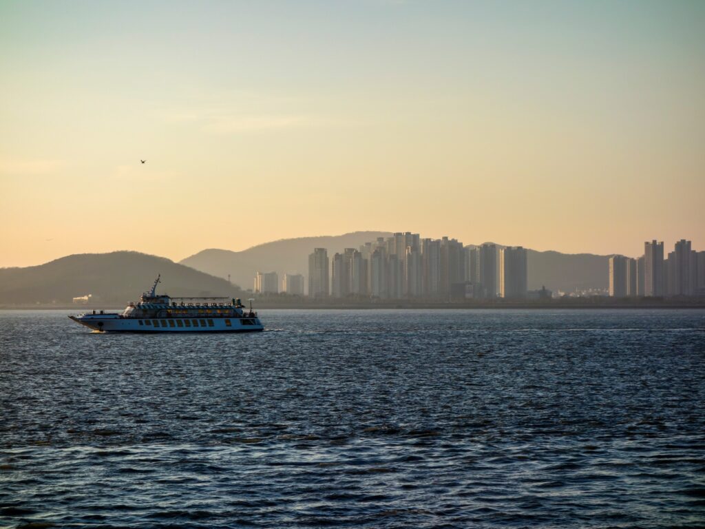 月尾島海鷗船：首爾近郊最佳海上餵食體驗攻略