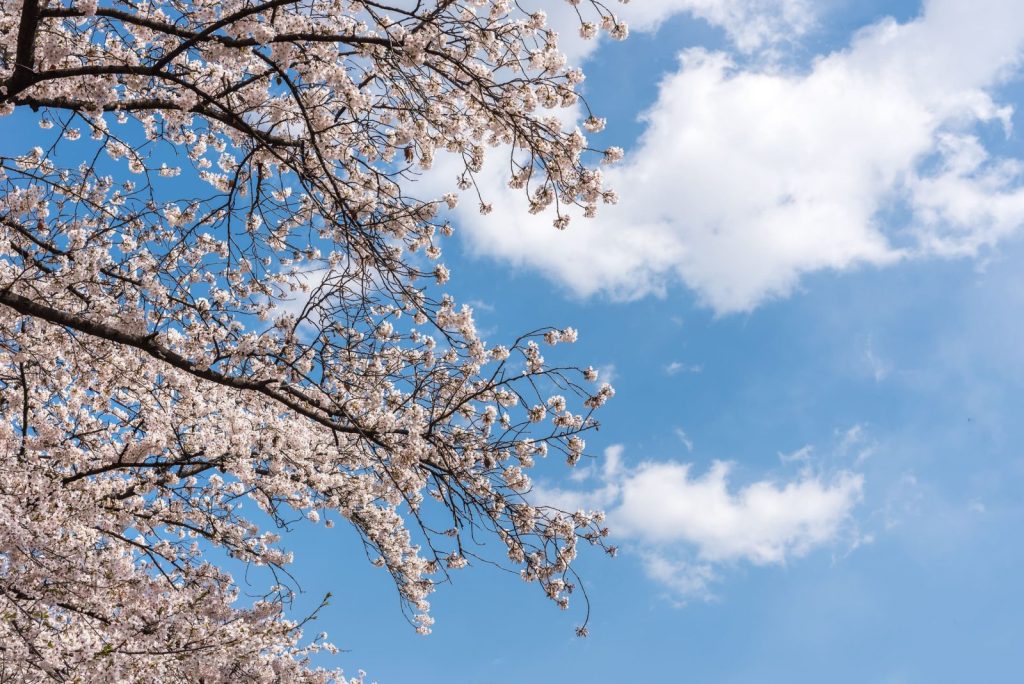 鞍山公園
