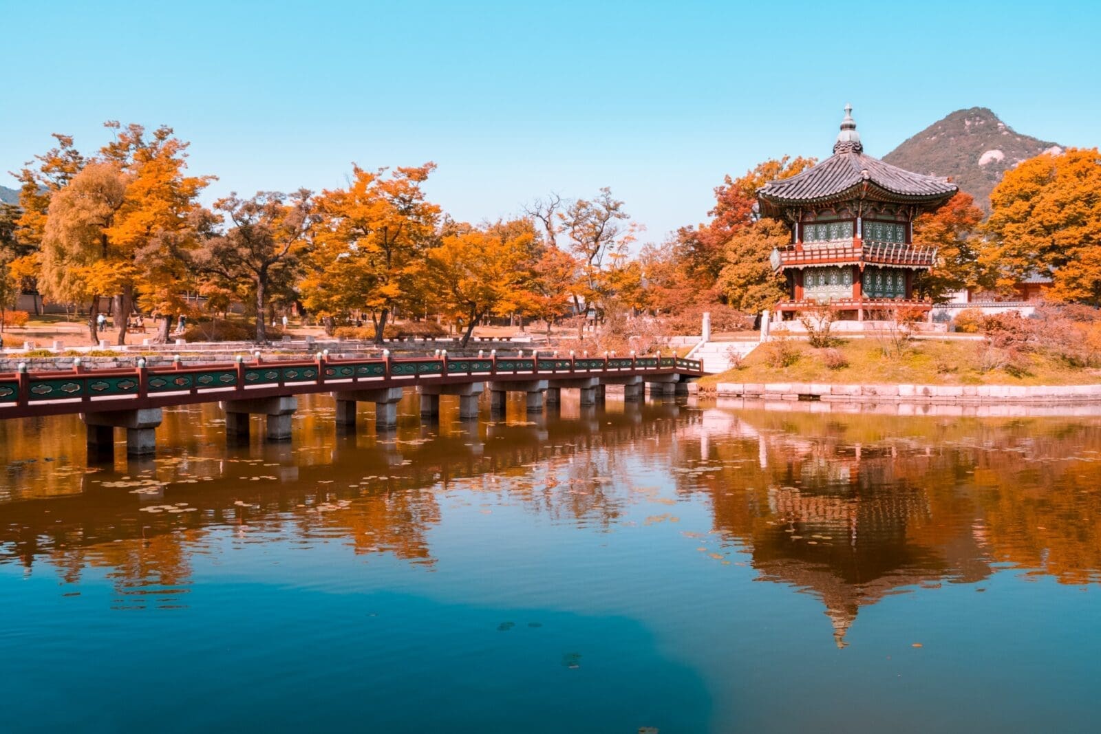 2026韓國秋季賞楓景點推薦｜首爾近郊與秘境路線