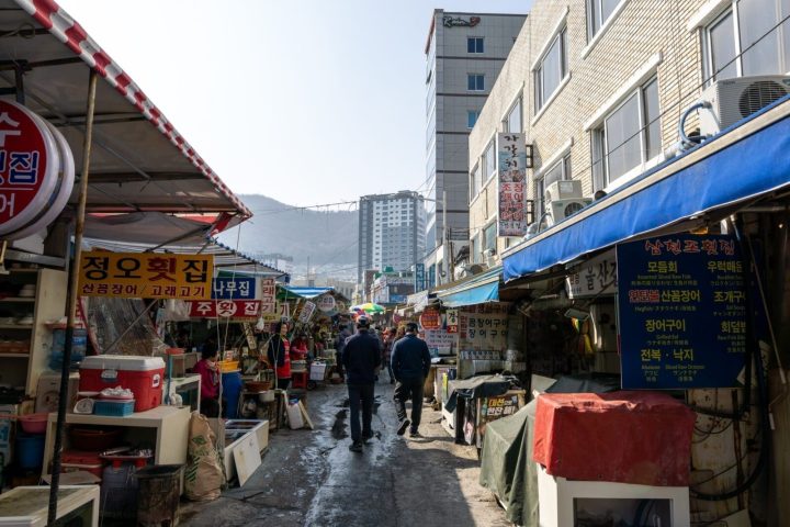 釜山札嘎其市場帝王蟹攻略|價格怎麼問、現買現吃與南浦洞順遊
