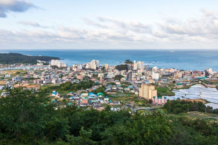蔚山鯨魚文化＋太和江一日｜釜山中文司機導遊包車