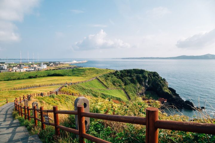 濟州島自然包車5日遊｜森林秘境・風車海岸