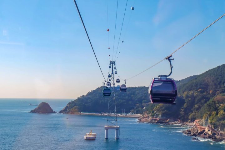 釜山酒香藝文包車5日遊｜福順都家・Arte Museum