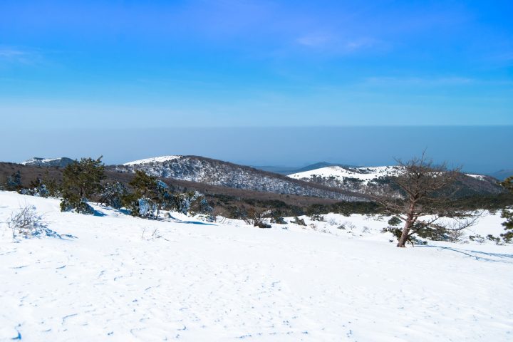 濟州島為何比釜山更容易下雪？原因大解析