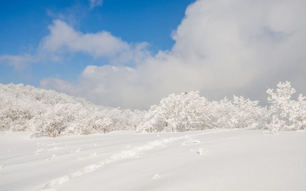 冬戀首爾五日遊|冰釣、滑雪、冬日浪漫體驗