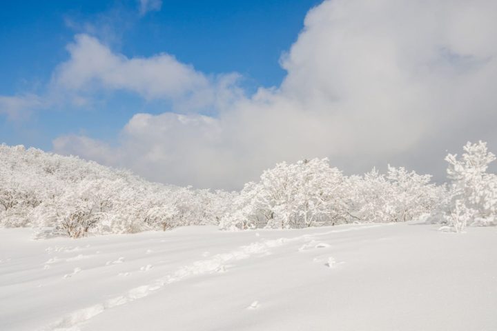 首爾冬季包車5日遊｜冰釣・滑雪體驗