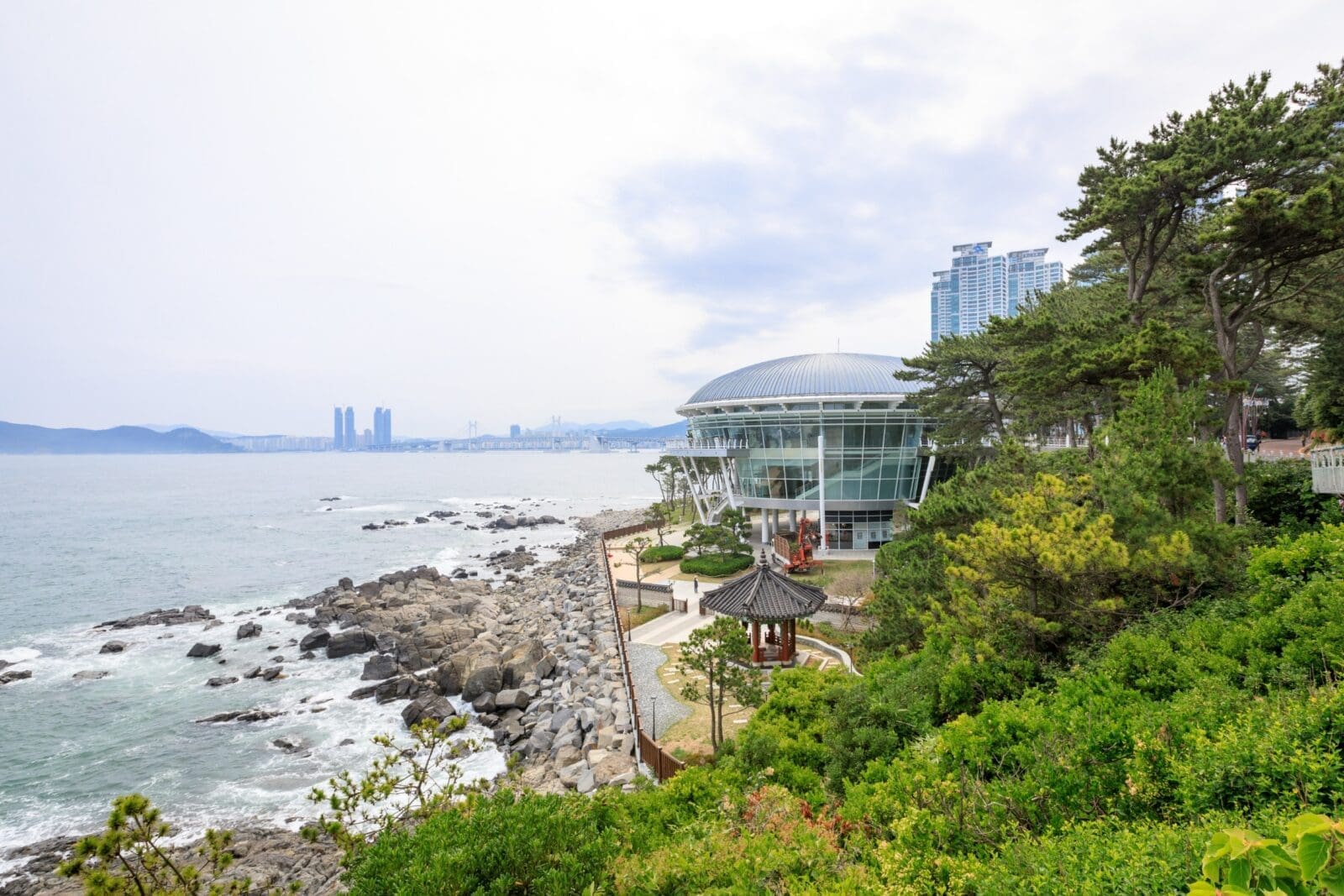 釜山冬柏公園