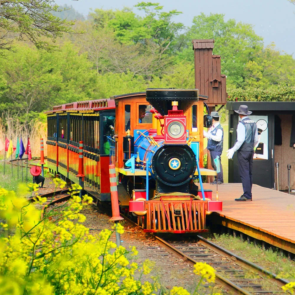 ECOLAND 森林小火車