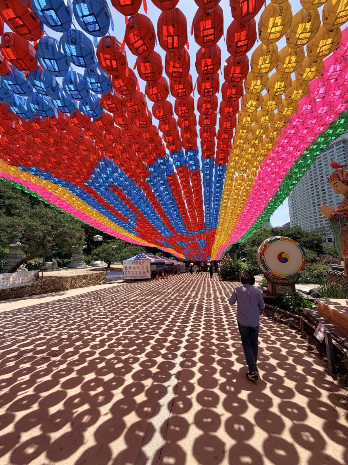 奉恩寺蓮燈隧道盡頭可見江南高樓，傳統花燈與現代市景對比
