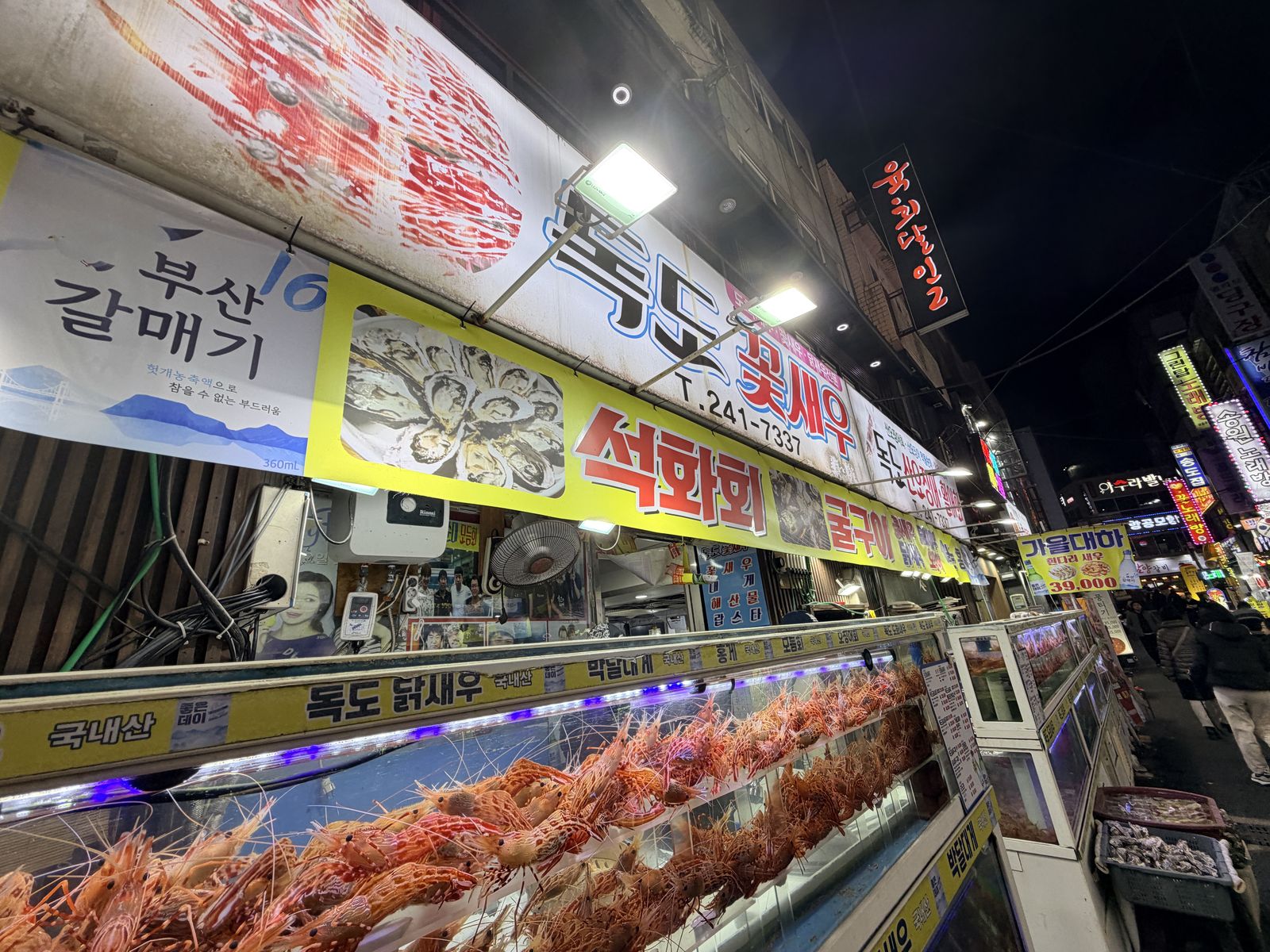 活蝦街店家門面,掛著독도 꽃새우、석화회、굴구이、가을대하39,000等看板,水族箱鋪滿紅蝦