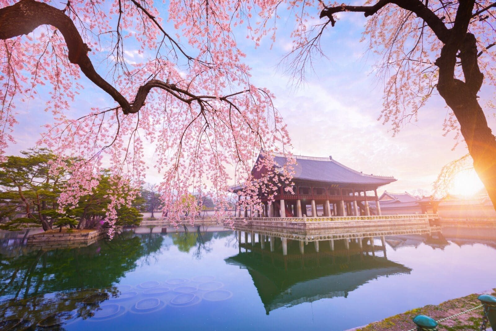 首爾市區一日遊攻略｜景福宮、光化門、仁寺洞、北村與南山塔