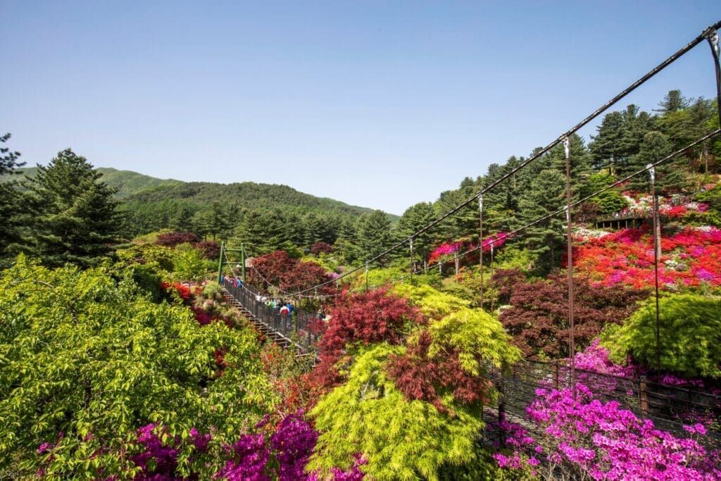 晨靜樹木園花園步道