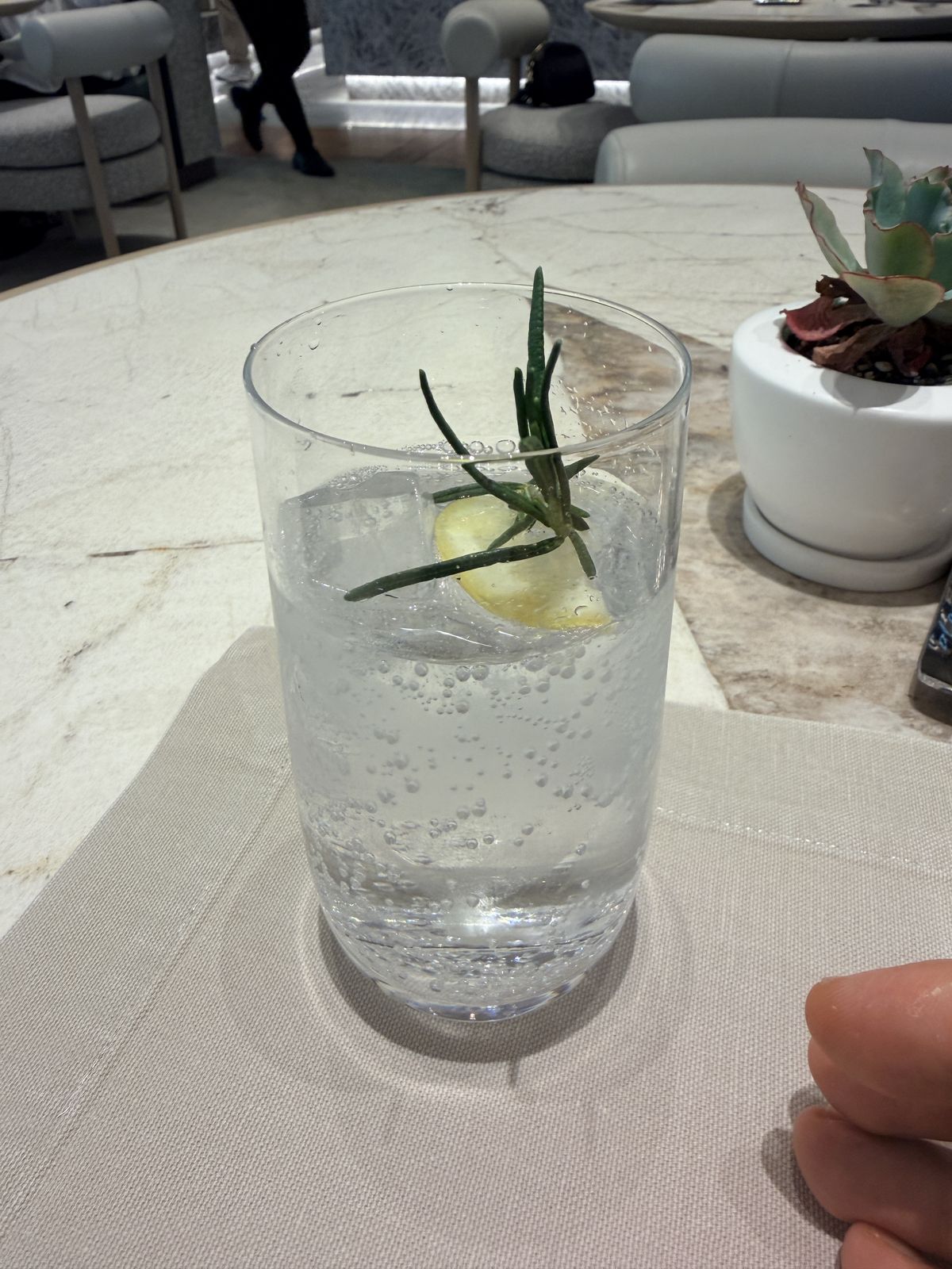 以香草點綴的行政酒廊現調飲品