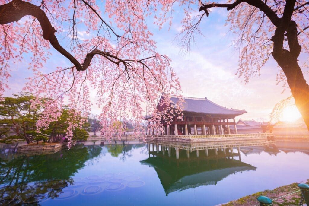 韓國親子旅遊攻略|行程怎麼排、市區樂園近郊怎麼選