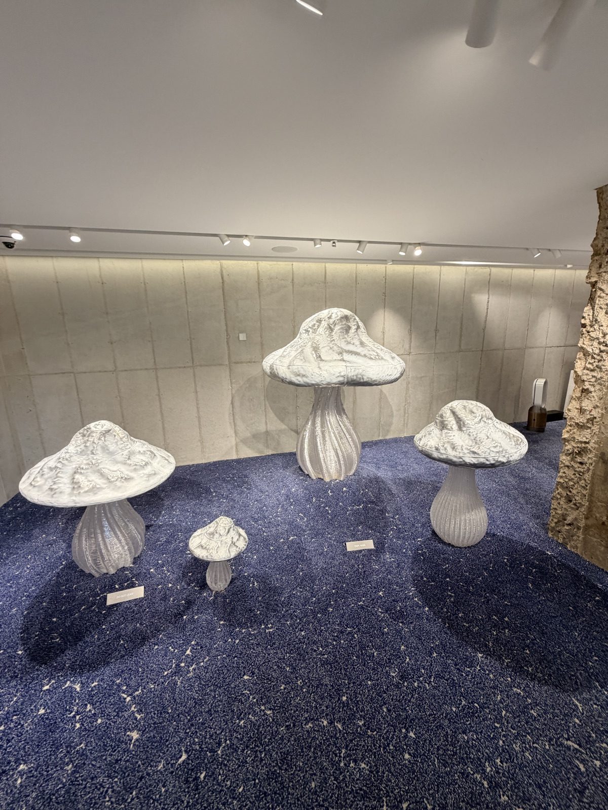 Tamburins 聖水店內以藝術裝置呈現的香氛展示空間