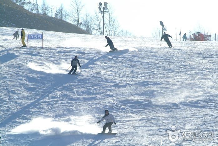 伊利西安滑雪場