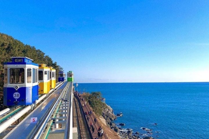 聖知谷＋海雲台海岸列車賞楓一日｜釜山中文司機導遊包車