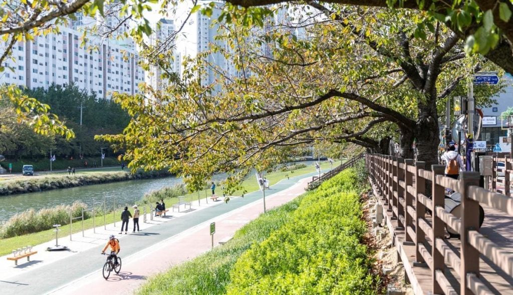 釜山市民公園