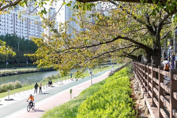 金剛公園＋釜山大學街一日｜釜山中文司機導遊包車
