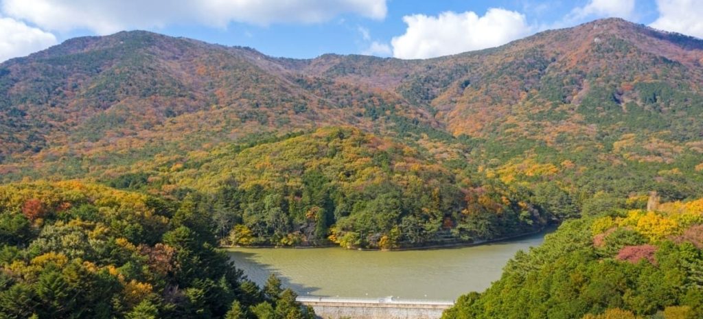 聖知谷水源地