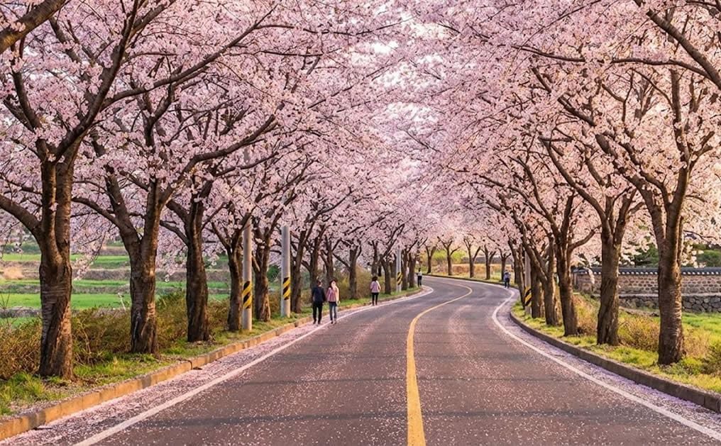 長田里