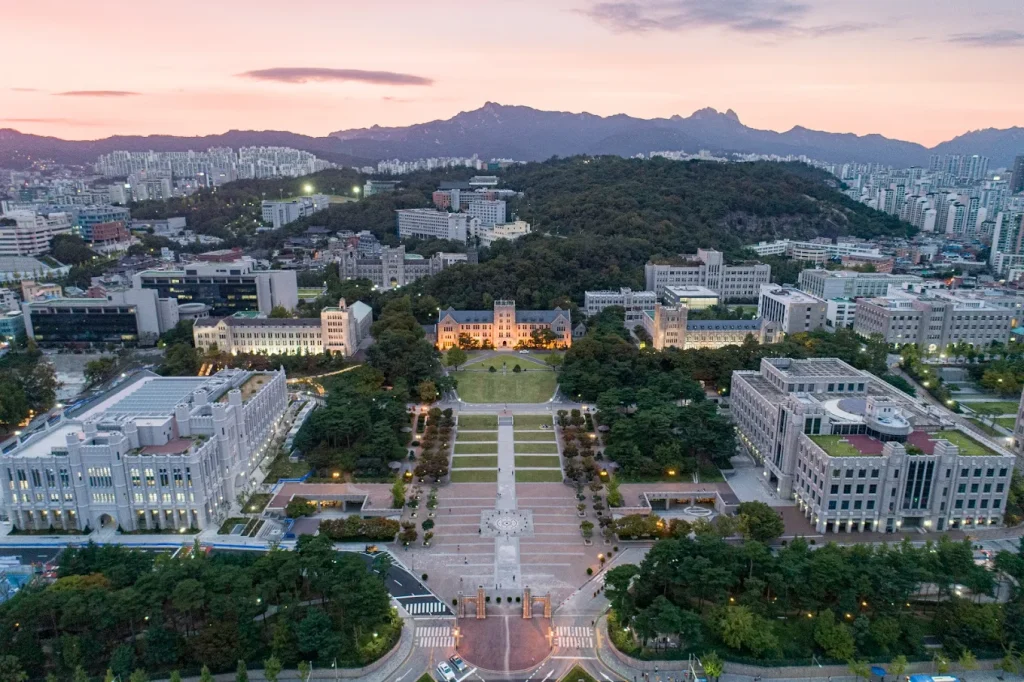 高麗大學