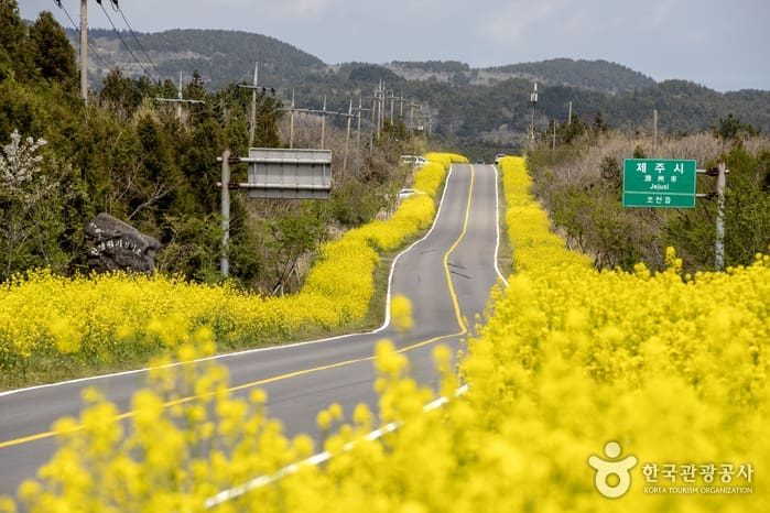 鹿山路