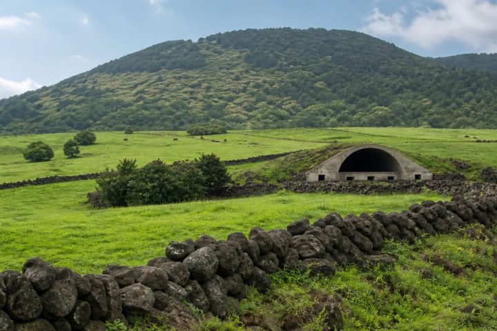 濟州西部天主教朝聖包車一日遊｜金大建路・伊西多爾路