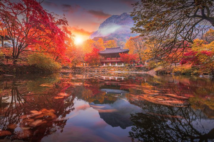 2026韓國賞楓攻略|9月底到11月紅葉時間表、景點與行程推薦