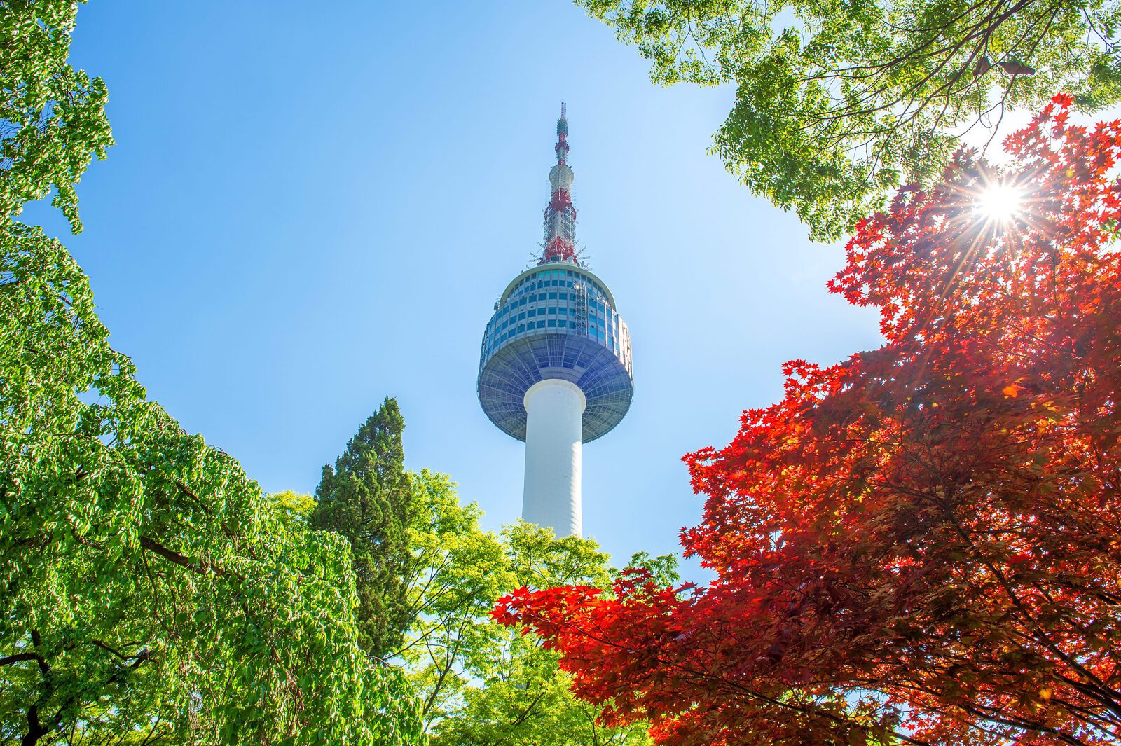 首爾塔與南山公園秋季楓葉