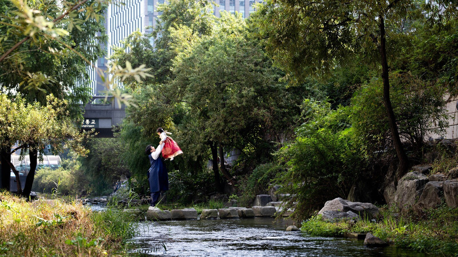 清溪川的水流、步道與樹蔭