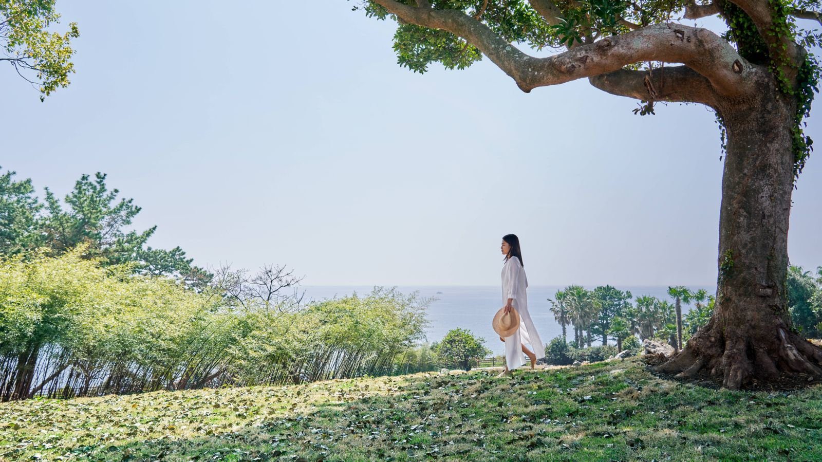 JW Garden 花園景觀