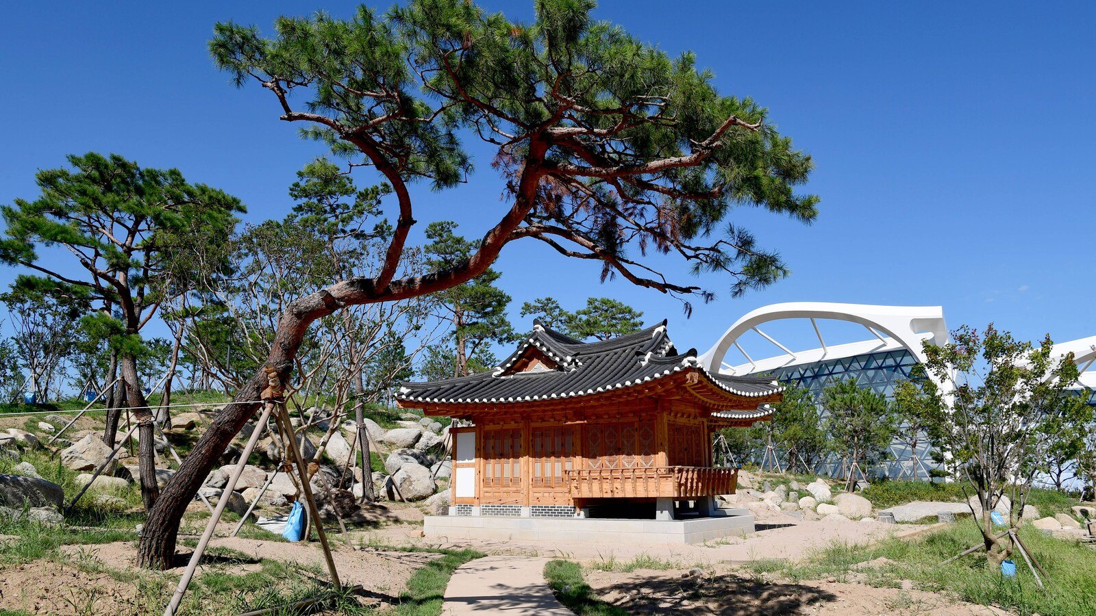 首爾植物園的韓式建築、松樹與溫室