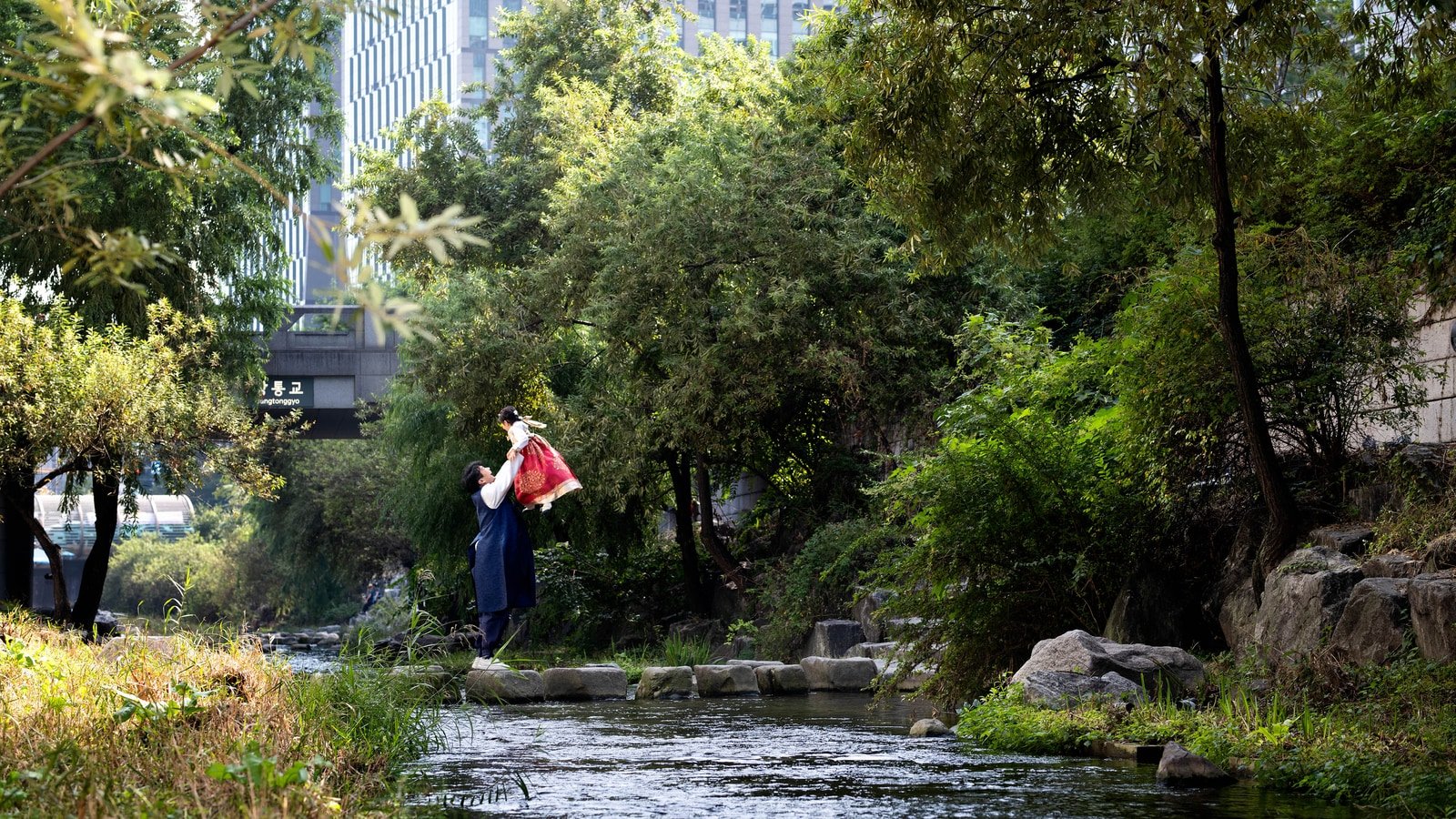 清溪川的水流、步道與樹蔭