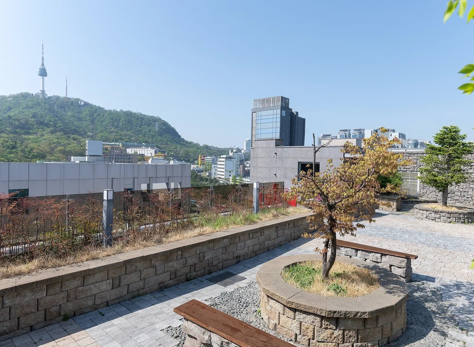 明洞南山館屋頂露台與遠方南山塔