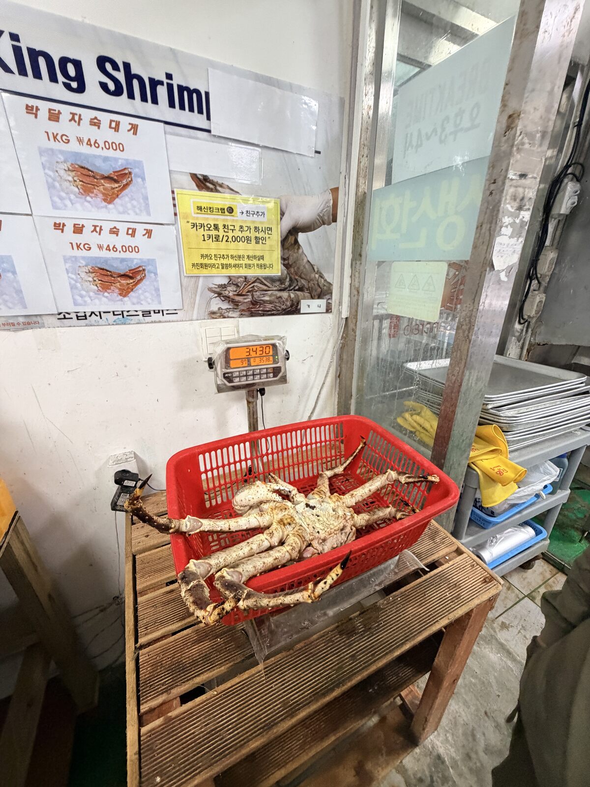 帝王蟹放在紅色籃中秤重,電子秤顯示重量